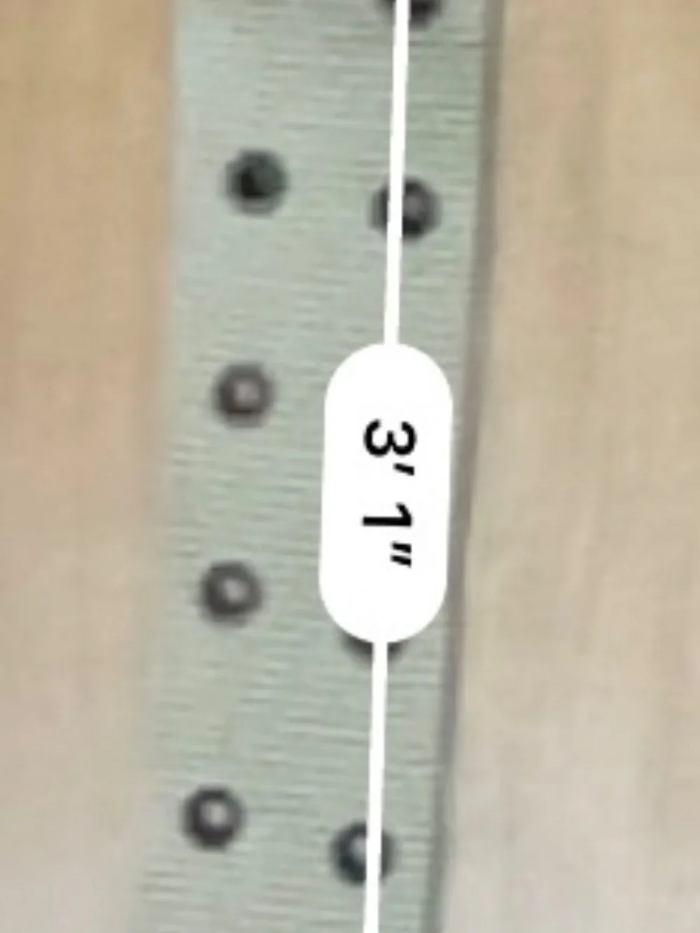 Tan 2 Row Metal Grommet Canvas Belt